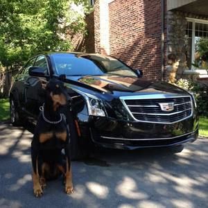 Meet your Posher, Philippe